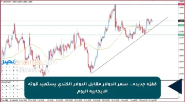 قفزة جديدة.. سعر الدولار مقابل الدولار الكندي يستعيد قوته الإيجابية اليوم
